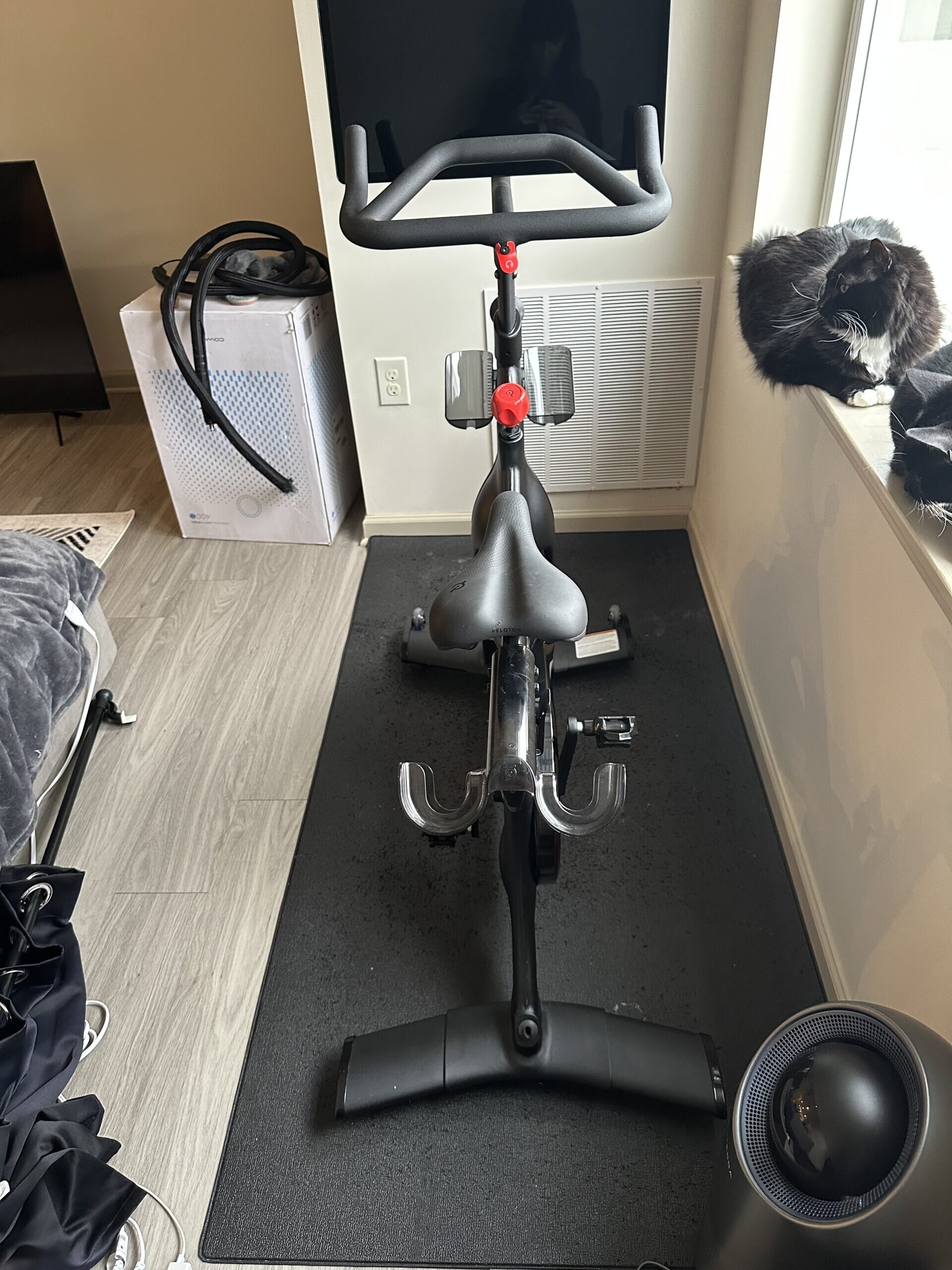 2022 Peloton Bike Plus Excellent Condition Under 50 Rides – Rochester, NY - Image 7