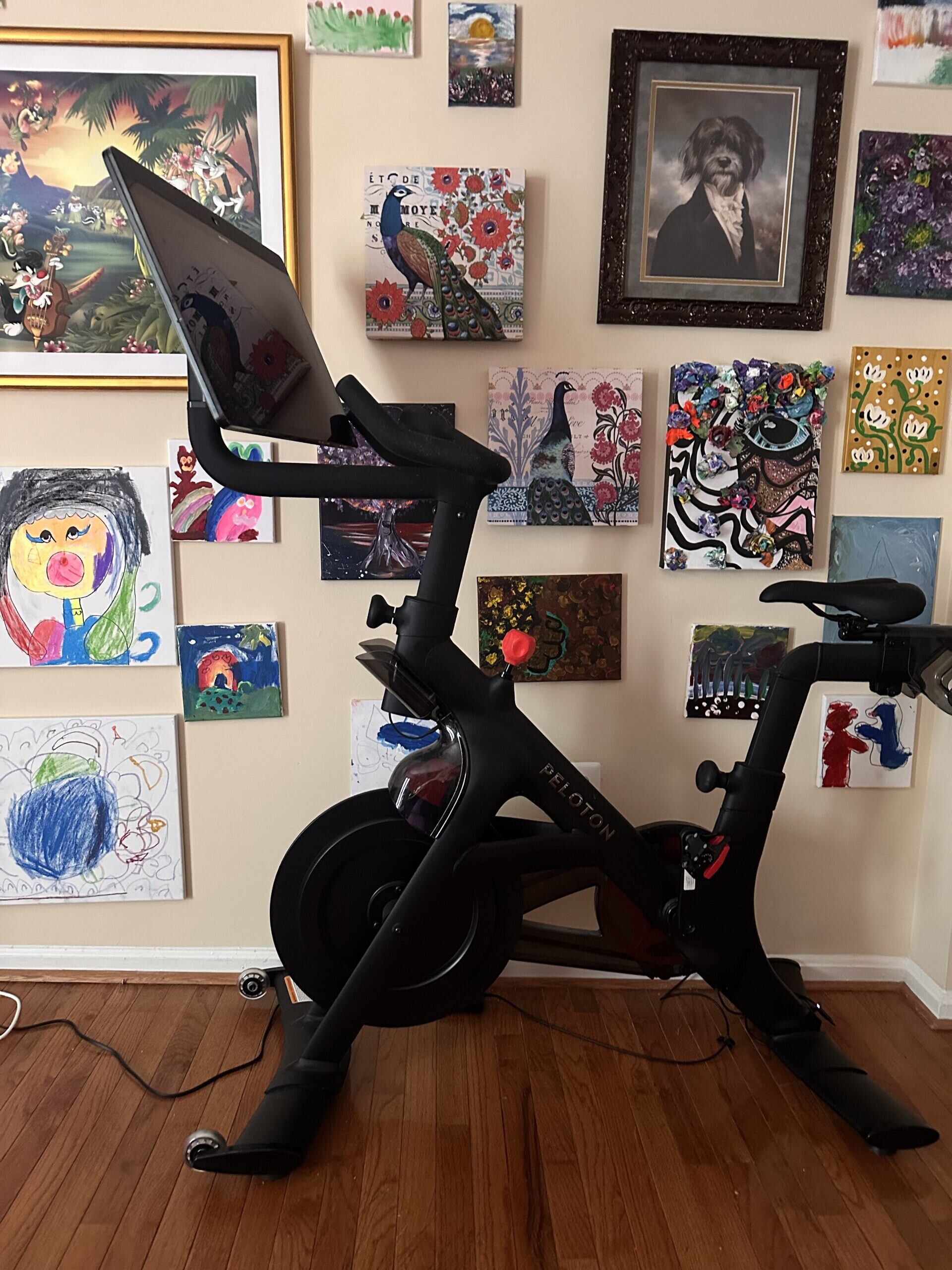 2023 Peloton Bike Plus – Very Good, Upper Marlboro - Image 10