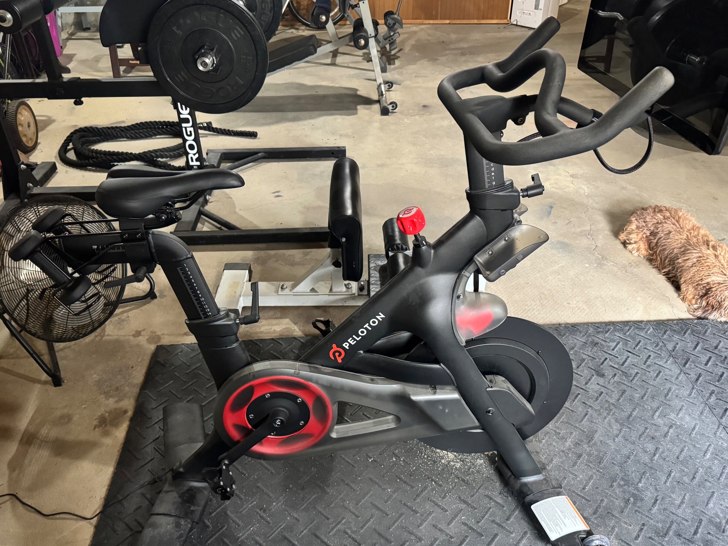 2023 Peloton Bike Plus Excellent Condition with Weights – Norcross, GA - Image 3