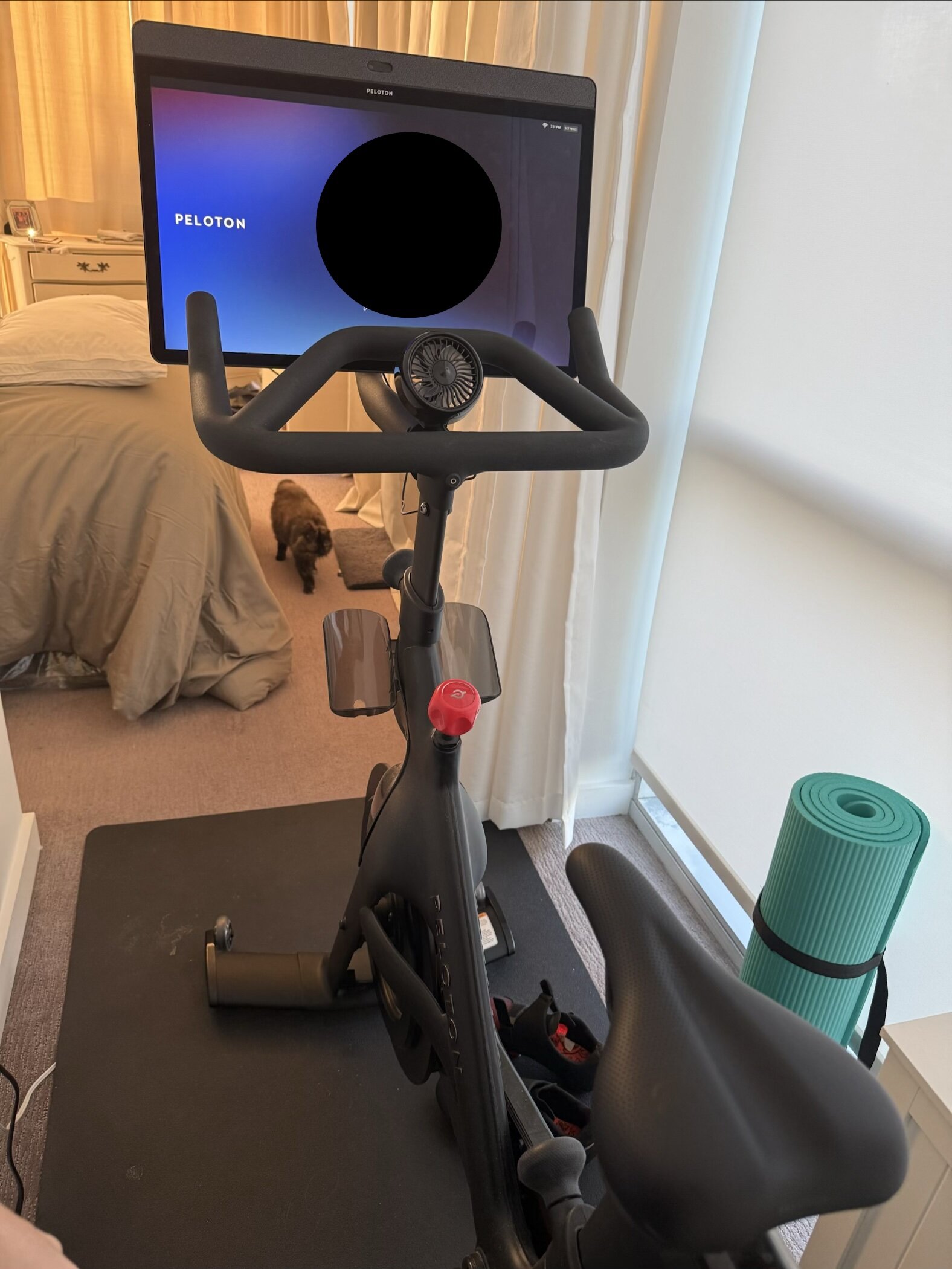 2021 Peloton Bike+ – Like New Condition, Includes Fan – Hartsdale, NY - Image 5