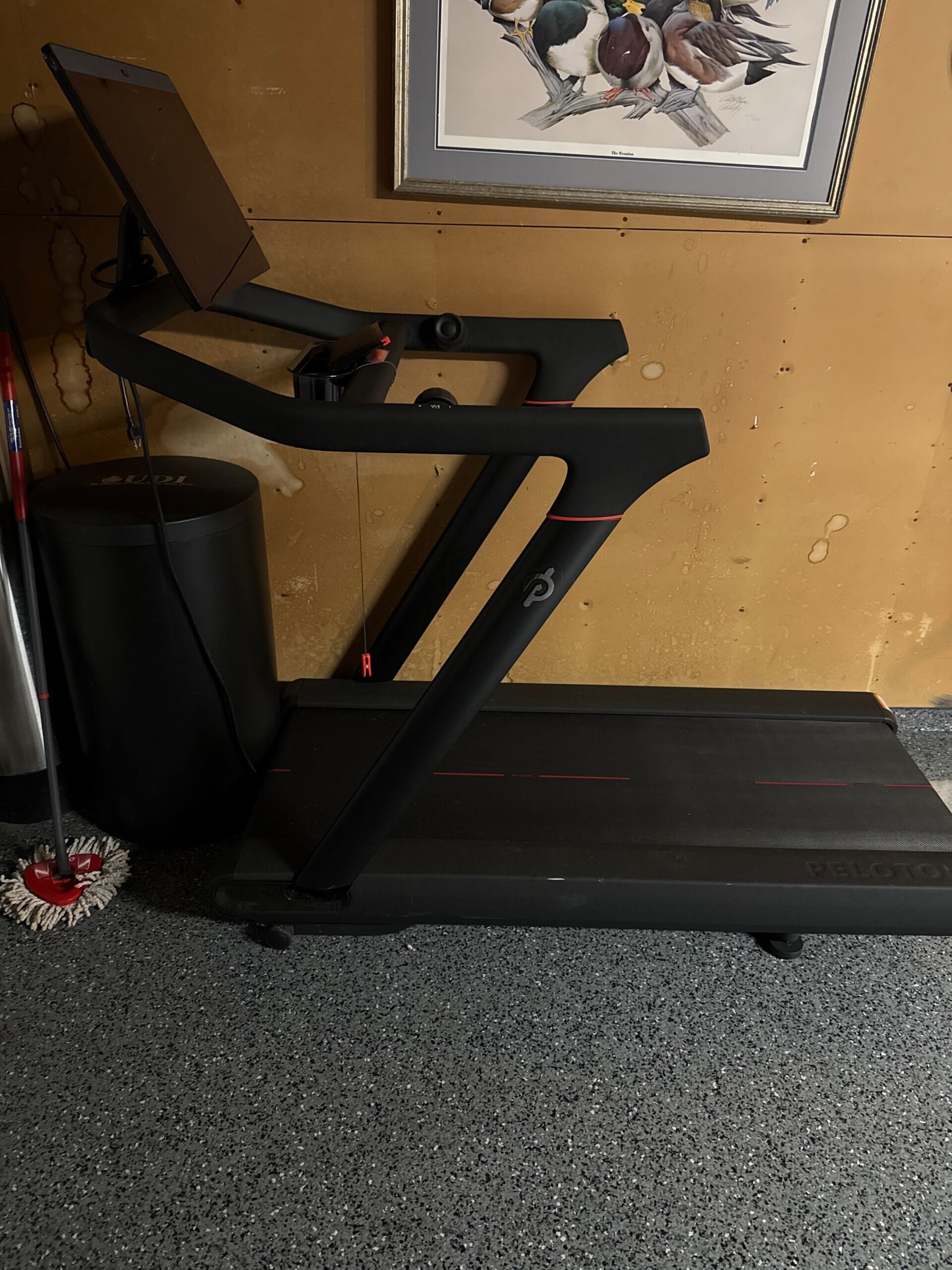 Like-New Peloton Tread 2018 – Used 2 Times – Savannah - Image 3